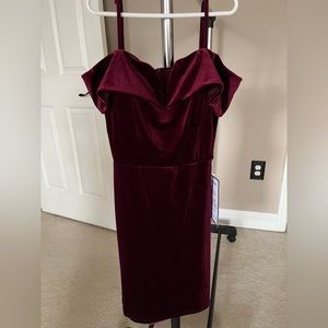 Red Velvet Mini Dress